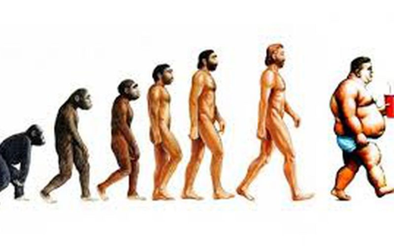 WhatsApp Image 2023-07-05 at 02.59.32